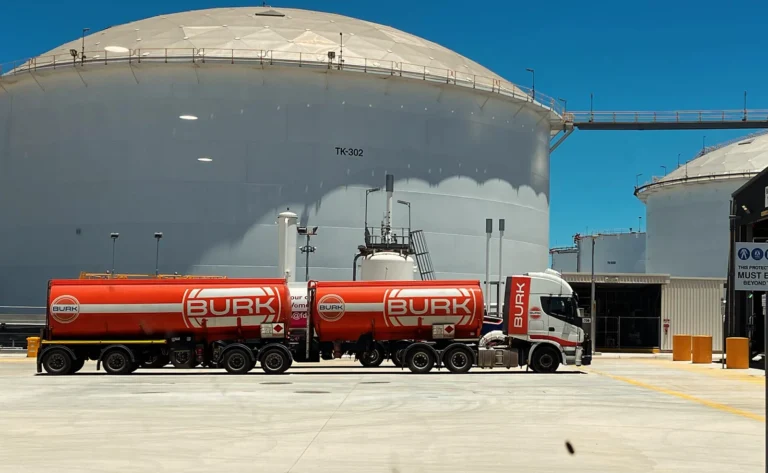 Burk in Construction Site